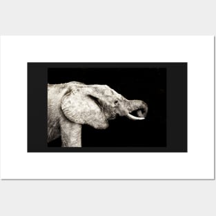 Rustic Elephant Posters and Art